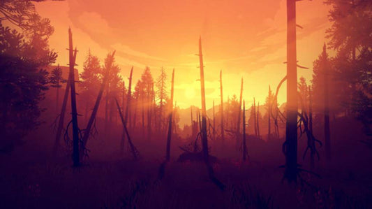 Firewatch GOG CD Key