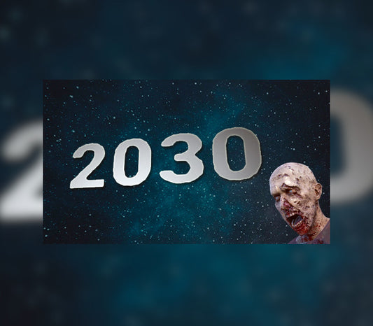 2030 Steam CD Key | PlayNate