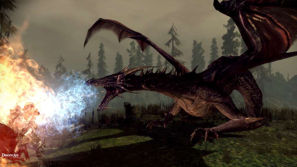 Dragon Age: Origins + Awakening Origin CD Key | PlayNate