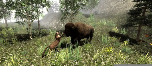 Untamed: Life of a Cougar Steam CD Key