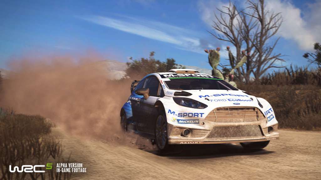 WRC 5 - FIA World Rally Championship DE/FR/BE Steam CD Key