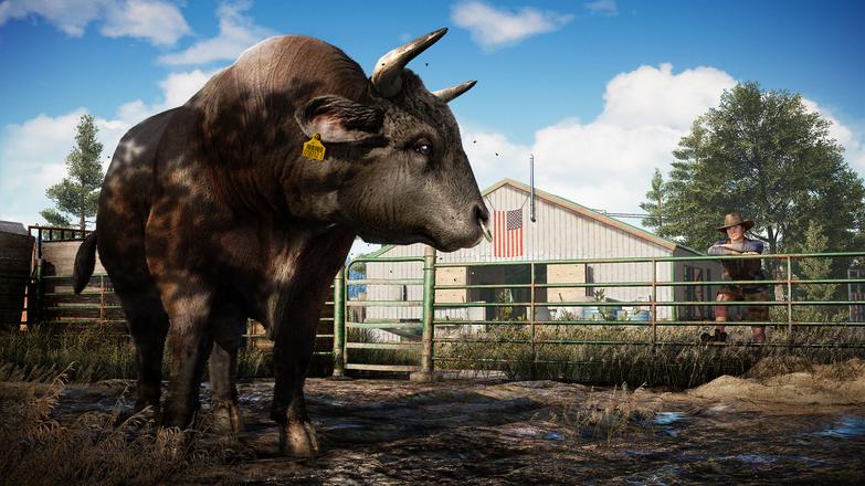 Far Cry 5 Ubisoft Connect CD Key | PlayNate