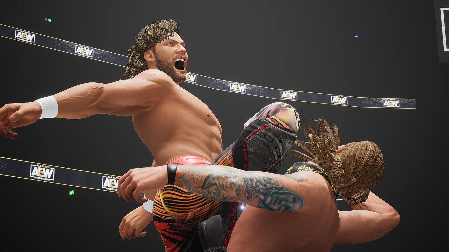 AEW: Fight Forever US XBOX One / Xbox Series X|S CD Key