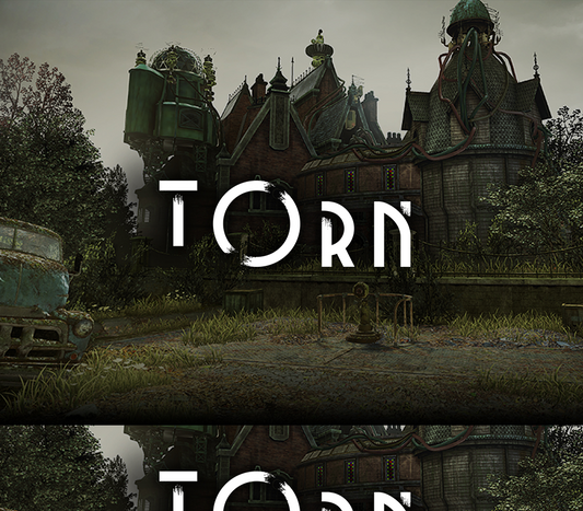 Torn VR NA PS4 CD Key