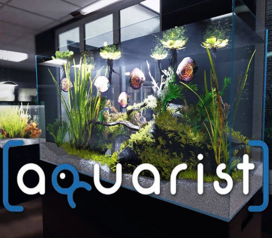 Aquarist NA PS5 CD Key