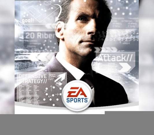 FIFA Manager 09 Origin CD Key | PlayNate