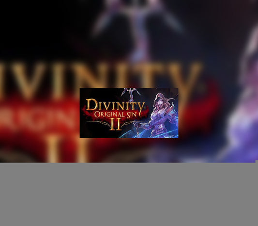 Divinity: Original Sin 2 GOG CD Key