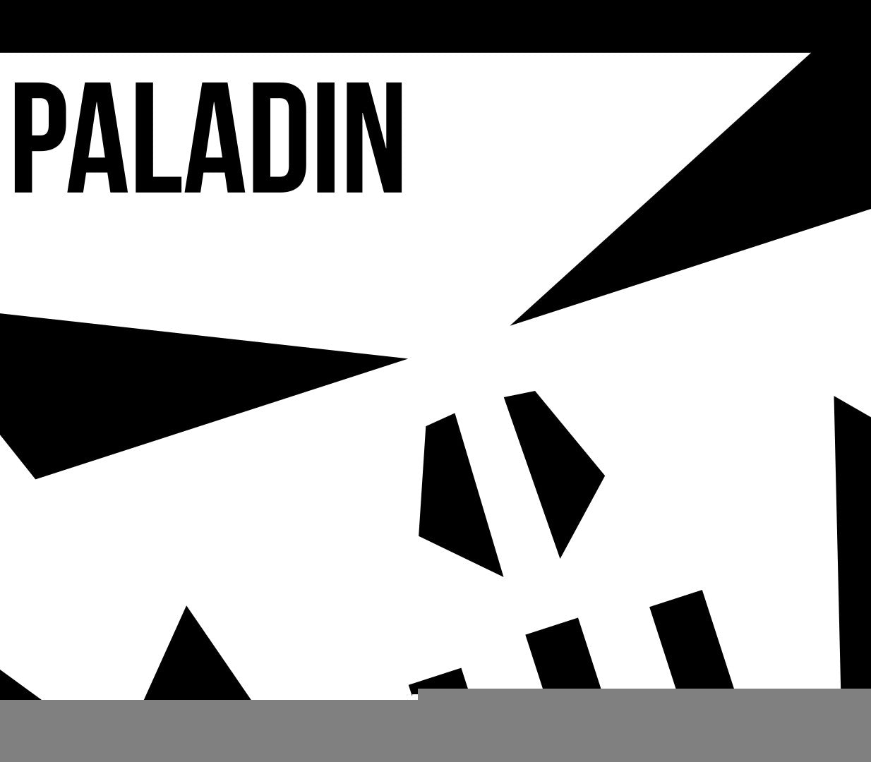 Paladin US Nintendo Switch CD Key | PlayNate