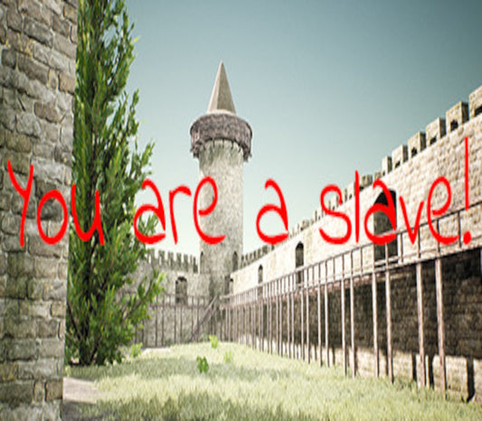 You Are A Slave! Steam CD Key | PlayNate