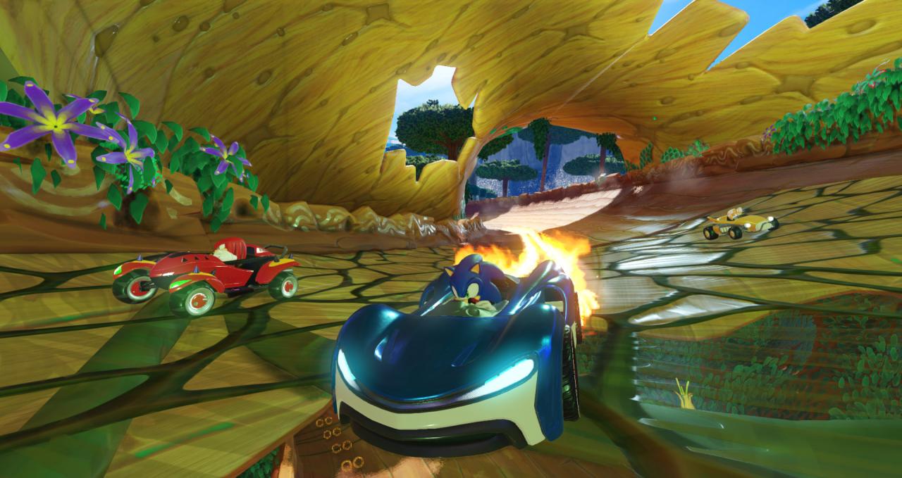 Team Sonic Racing EU Nintendo Switch CD Key | PlayNate