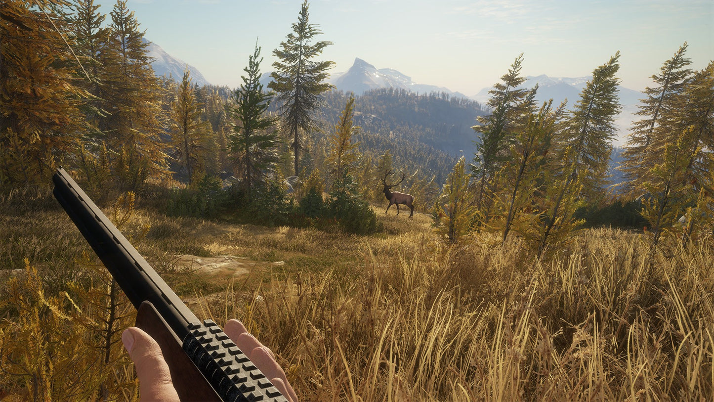 theHunter: Call of the Wild AR XBOX One / Xbox Series X|S CD Key