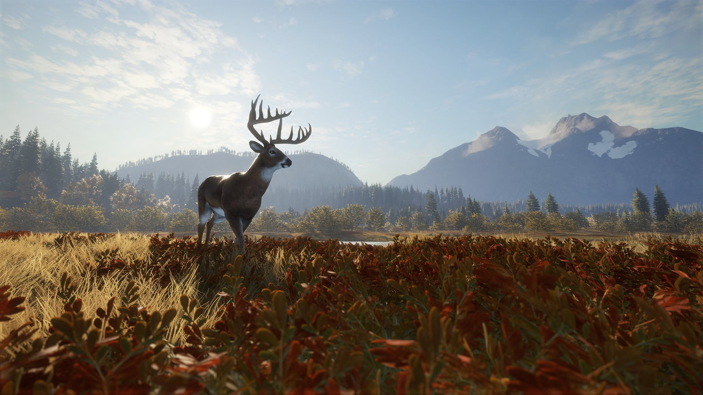 theHunter: Call of the Wild AR XBOX One / Xbox Series X|S CD Key