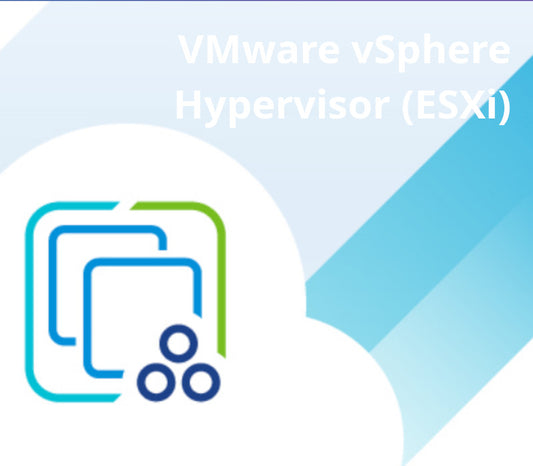 VMware vSphere Hypervisor (ESXi) 7.0U3g CD Key | PlayNate