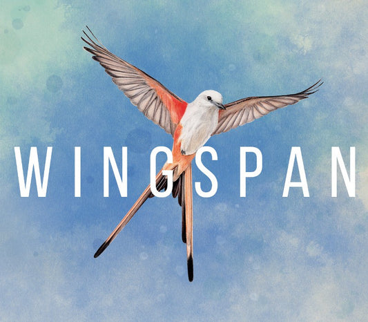 Wingspan AR XBOX One CD Key