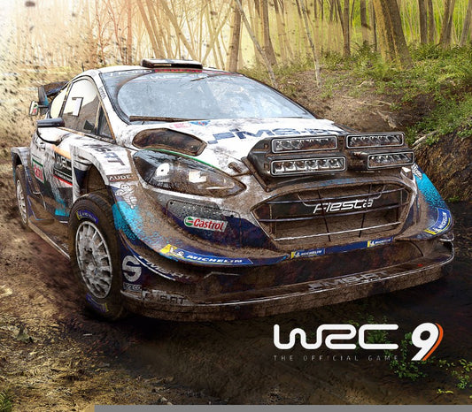 WRC 9 FIA World Rally Championship Epic Games CD Key