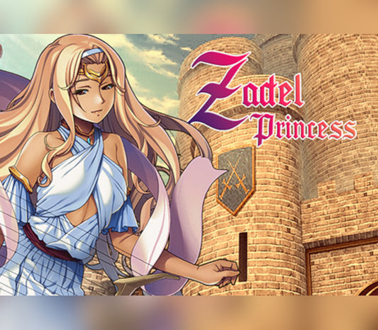 Zadel Princess Steam CD Key | PlayNate